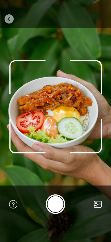 Calite app scanning food